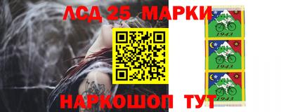 гидропоника Можайск