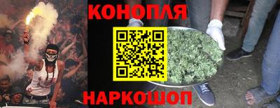 гидропоника Можайск