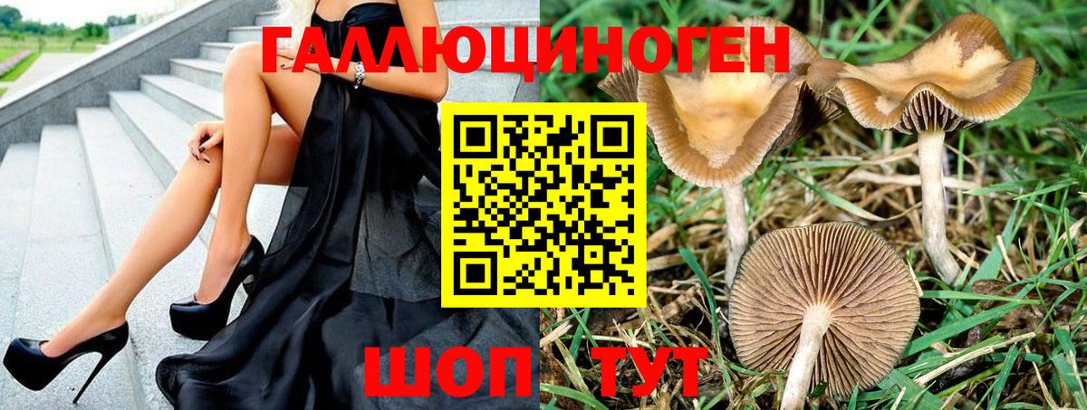 Псилоцибиновые грибы ЛСД Чистополь
